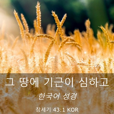 Picture 03 - 창세기 43:1 KOR - 그 땅에 기근이 - Bible Verse Picture
