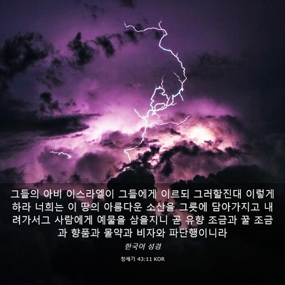 Picture 03 - 창세기 43:11 KOR - 그들의 아비 이스라엘이 그들에게 - Bible Verse Picture