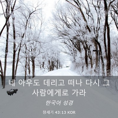 Picture 03 - 창세기 43:13 KOR - 네 아우도 데리고 떠나 다시 그 - Bible Verse Picture