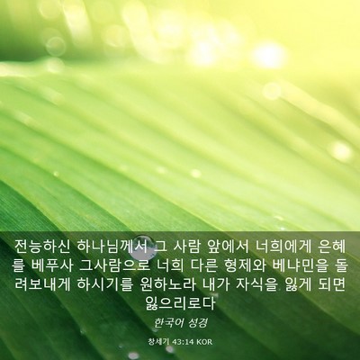 Picture 03 - 창세기 43:14 KOR - 전능하신 하나님께서 그 사람 앞에서 - Bible Verse Picture
