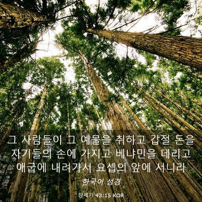 Picture 03 - 창세기 43:15 KOR - 그 사람들이 그 예물을 취하고 갑절 - Bible Verse Picture