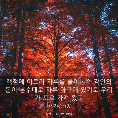 Picture 03 - 창세기 43:21 KOR - 객점에 이르러 자루를 풀어본즉 - Bible Verse Picture