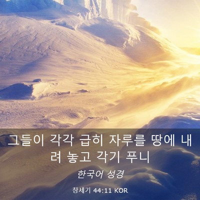 Picture 03 - 창세기 44:11 KOR - 그들이 각각 급히 자루를 땅에 내려 - Bible Verse Picture