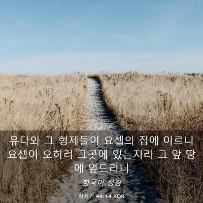 Picture 03 - 창세기 44:14 KOR - 유다와 그 형제들이 요셉의 집에 - Bible Verse Picture