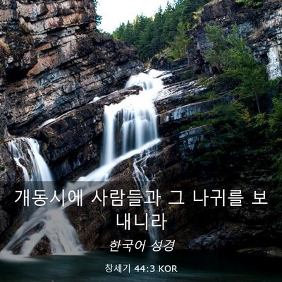 Picture 03 - 창세기 44:3 KOR - 개동시에 사람들과 그 나귀를 - Bible Verse Picture