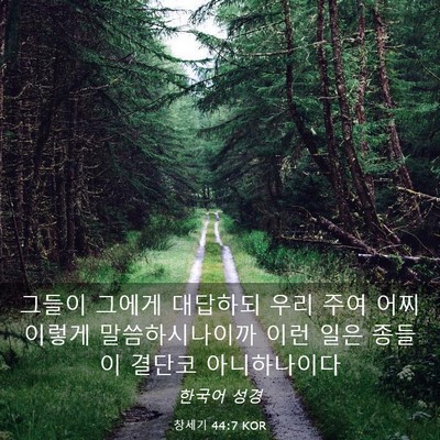 Picture 03 - 창세기 44:7 KOR - 그들이 그에게 대답하되 우리 주여 - Bible Verse Picture