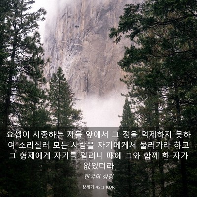 Picture 03 - 창세기 45:1 KOR - 요셉이 시종하는 자들 앞에서 그 - Bible Verse Picture