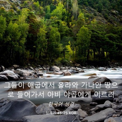Picture 03 - 창세기 45:25 KOR - 그들이 애굽에서 올라와 가나안 - Bible Verse Picture