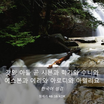 Picture 03 - 창세기 46:16 KOR - 갓의 아들 곧 시뵨과 학기와 수니와 - Bible Verse Picture