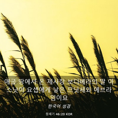 Picture 03 - 창세기 46:20 KOR - 애굽 땅에서 온 제사장 보디베라의 - Bible Verse Picture