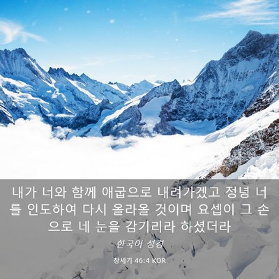 Picture 03 - 창세기 46:4 KOR - 내가 너와 함께 애굽으로 내려가겠고 - Bible Verse Picture