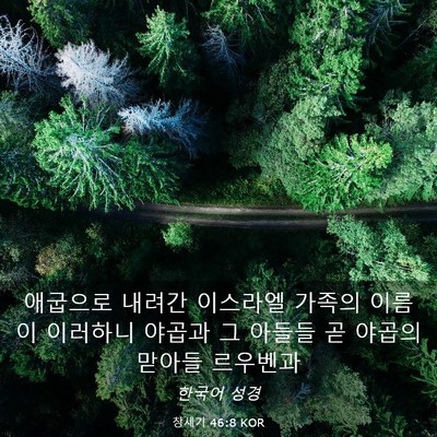 Picture 03 - 창세기 46:8 KOR - 애굽으로 내려간 이스라엘 가족의 - Bible Verse Picture