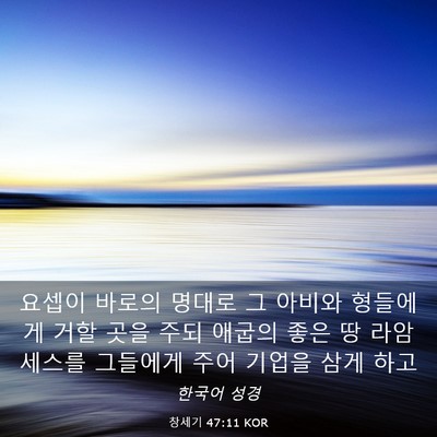 Picture 03 - 창세기 47:11 KOR - 요셉이 바로의 명대로 그 아비와 - Bible Verse Picture