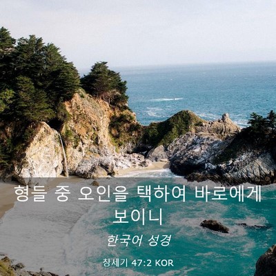 Picture 03 - 창세기 47:2 KOR - 형들 중 오인을 택하여 바로에게 - Bible Verse Picture