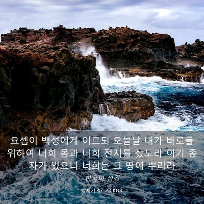 Picture 03 - 창세기 47:23 KOR - 요셉이 백성에게 이르되 오늘날 내가 - Bible Verse Picture