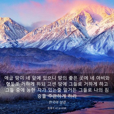 Picture 03 - 창세기 47:6 KOR - 애굽 땅이 네 앞에 있으니 땅의 좋은 - Bible Verse Picture