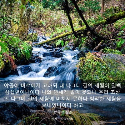 Picture 03 - 창세기 47:9 KOR - 야곱이 바로에게 고하되 내 나그네 - Bible Verse Picture