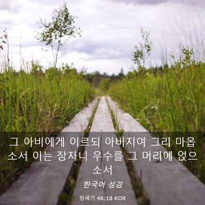 Picture 03 - 창세기 48:18 KOR - 그 아비에게 이르되 아버지여 그리 - Bible Verse Picture