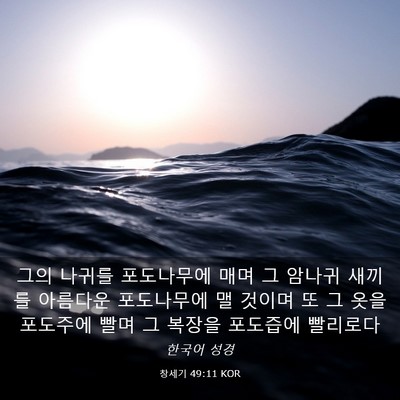 Picture 03 - 창세기 49:11 KOR - 그의 나귀를 포도나무에 매며 그 - Bible Verse Picture