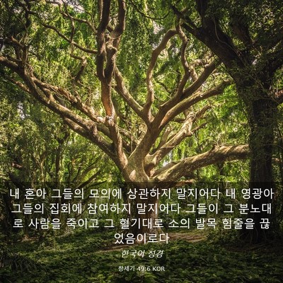 Picture 03 - 창세기 49:6 KOR - 내 혼아 그들의 모의에 상관하지 - Bible Verse Picture