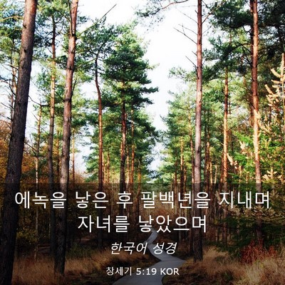 Picture 03 - 창세기 5:19 KOR - 에녹을 낳은 후 팔백년을 지내며 - Bible Verse Picture