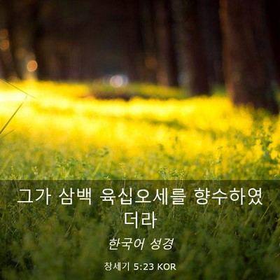 Picture 03 - 창세기 5:23 KOR - 그가 삼백 육십오세를 - Bible Verse Picture