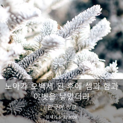 Picture 03 - 창세기 5:32 KOR - 노아가 오백세 된 후에 셈과 함과 - Bible Verse Picture
