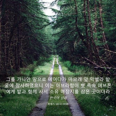 Picture 03 - 창세기 50:13 KOR - 그를 가나안 땅으로 메어다가 마므레 - Bible Verse Picture