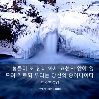 Picture 03 - 창세기 50:18 KOR - 그 형들이 또 친히 와서 요셉의 앞에 - Bible Verse Picture