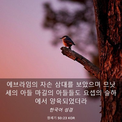 Picture 03 - 창세기 50:23 KOR - 에브라임의 자손 삼대를 보았으며 - Bible Verse Picture