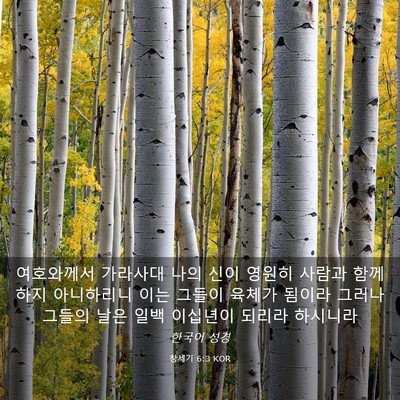 Picture 03 - 창세기 6:3 KOR - 여호와께서 가라사대 나의 신이 - Bible Verse Picture