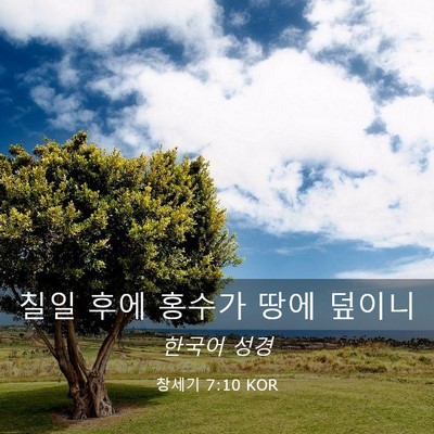 Picture 03 - 창세기 7:10 KOR - 칠일 후에 홍수가 땅에 - Bible Verse Picture