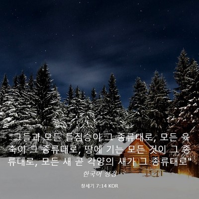 Picture 03 - 창세기 7:14 KOR - 