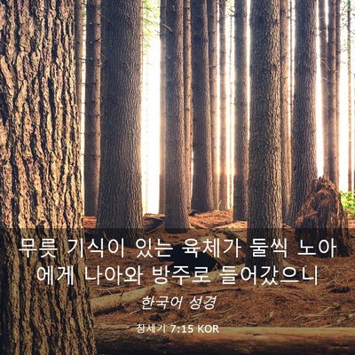 Picture 03 - 창세기 7:15 KOR - 무릇 기식이 있는 육체가 둘씩 - Bible Verse Picture
