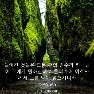 Picture 03 - 창세기 7:16 KOR - 들어간 것들은 모든 것의 암수라 - Bible Verse Picture