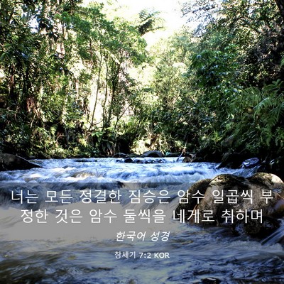 Picture 03 - 창세기 7:2 KOR - 너는 모든 정결한 짐승은 암수 - Bible Verse Picture