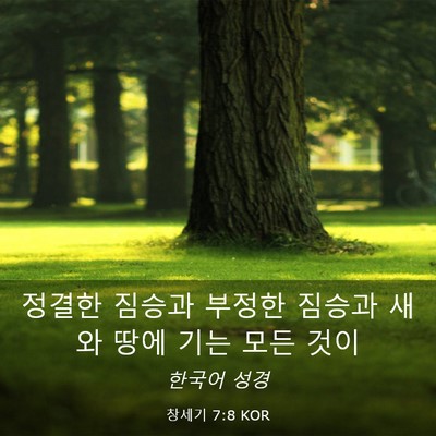 Picture 03 - 창세기 7:8 KOR - 정결한 짐승과 부정한 짐승과 새와 - Bible Verse Picture