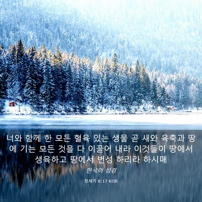 Picture 03 - 창세기 8:17 KOR - 너와 함께 한 모든 혈육 있는 생물 곧 - Bible Verse Picture