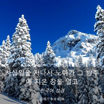 Picture 03 - 창세기 8:6 KOR - 사십일을 지나서 노아가 그 방주에 - Bible Verse Picture