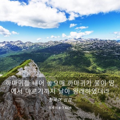 Picture 03 - 창세기 8:7 KOR - 까마귀를 내어 놓으매 까마귀가 물이 - Bible Verse Picture
