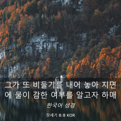Picture 03 - 창세기 8:8 KOR - 그가 또 비둘기를 내어 놓아 지면에 - Bible Verse Picture