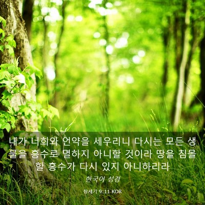 Picture 03 - 창세기 9:11 KOR - 내가 너희와 언약을 세우리니 다시는 - Bible Verse Picture