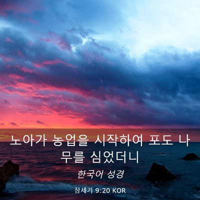 Picture 03 - 창세기 9:20 KOR - 노아가 농업을 시작하여 포도 나무를 - Bible Verse Picture