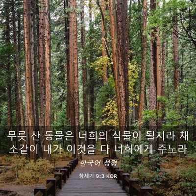 Picture 03 - 창세기 9:3 KOR - 무릇 산 동물은 너희의 식물이 - Bible Verse Picture