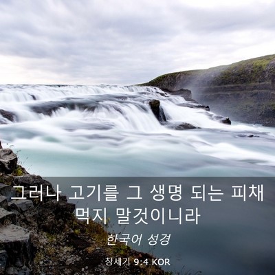Picture 03 - 창세기 9:4 KOR - 그러나 고기를 그 생명 되는 피채 - Bible Verse Picture