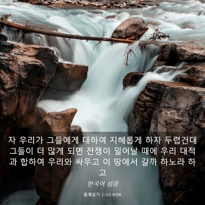 Picture 03 - 출애굽기 1:10 KOR - 자 우리가 그들에게 대하여 지혜롭게 - Bible Verse Picture