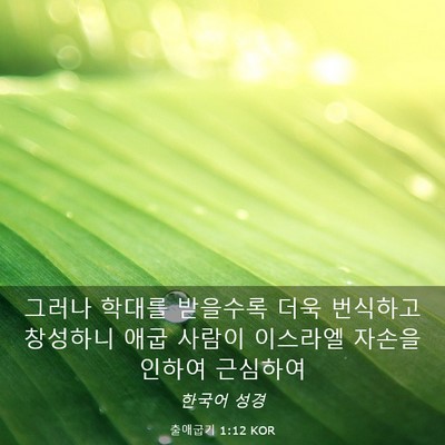 Picture 03 - 출애굽기 1:12 KOR - 그러나 학대를 받을수록 더욱 - Bible Verse Picture