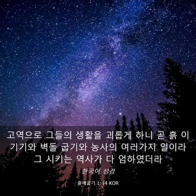 Picture 03 - 출애굽기 1:14 KOR - 고역으로 그들의 생활을 괴롭게 하니 - Bible Verse Picture