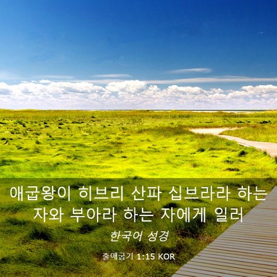 Picture 03 - 출애굽기 1:15 KOR - 애굽왕이 히브리 산파 십브라라 하는 - Bible Verse Picture
