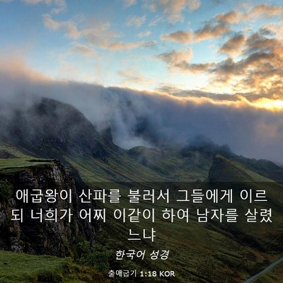 Picture 03 - 출애굽기 1:18 KOR - 애굽왕이 산파를 불러서 그들에게 - Bible Verse Picture